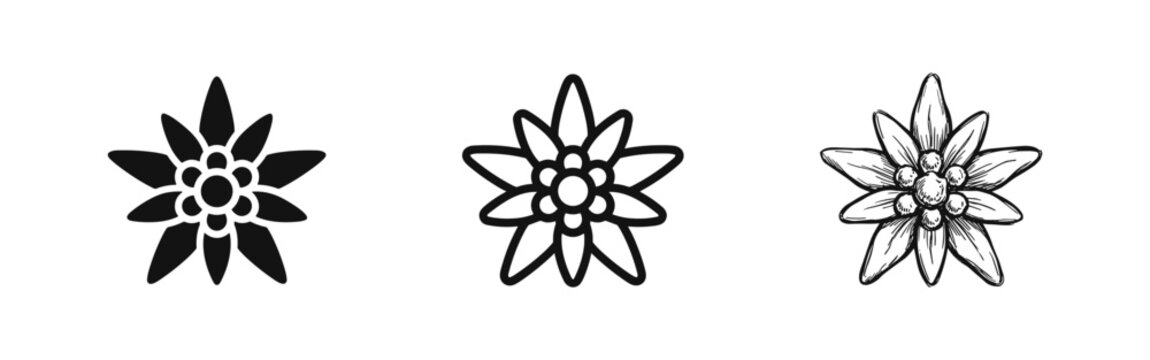 Edelweiss Flower Icon Set, Alpine Floral Design Styles