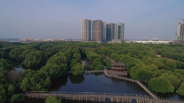 Close aerial drone view of Jakarta's mangrove forest river in North Jakarta, with dense lush green mangrove trees in the foreground filling the right half of the frame.