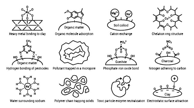 Scientific diagrams of chemical bonding and molecular interactions in soil and organic matter.