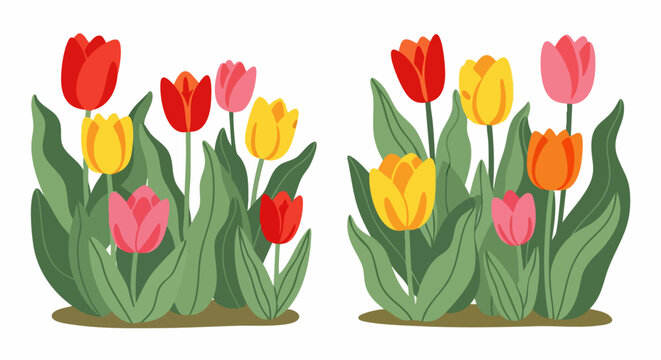 Colorful spring tulips flower garden illustration.