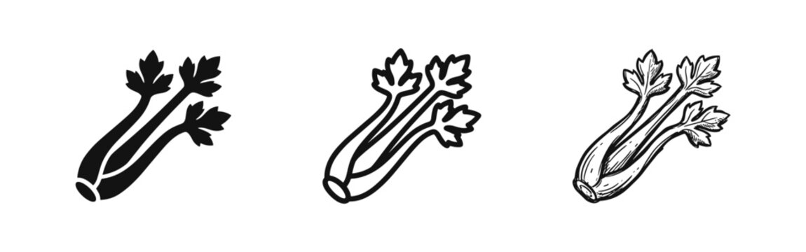 Celery vegetable icon set, fresh healthy food symbol, vector illustration