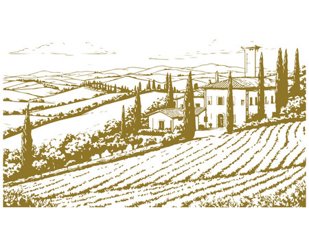 Rural landscape: rolling fields, windmill, farmhouses and cypress trees. Vector illustration, Hatching pattern, suitable for restaurant menus, labels, postcards, backgrounds