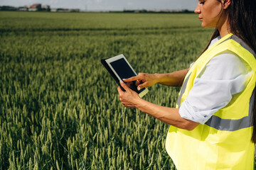 Obraz premium Female agricultural worker in reflective safety vest using tablet device in green wheat field under clear blue sky with distant buildings visible on the horizon
