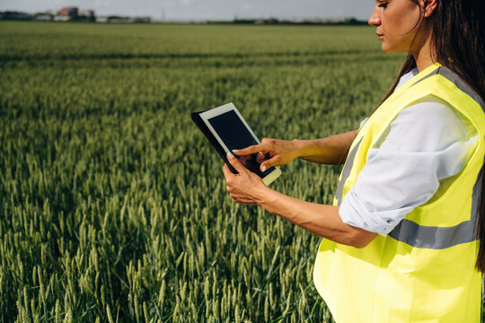 Female agricultural worker in reflective safety vest using tablet device in green wheat field under clear blue sky with distant buildings visible on the horizon