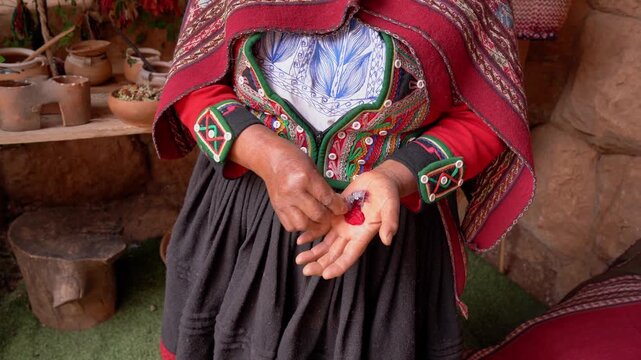 Indigenous Peruvian woman crushing a cochineal insect in her hand to extract the natural red pigment