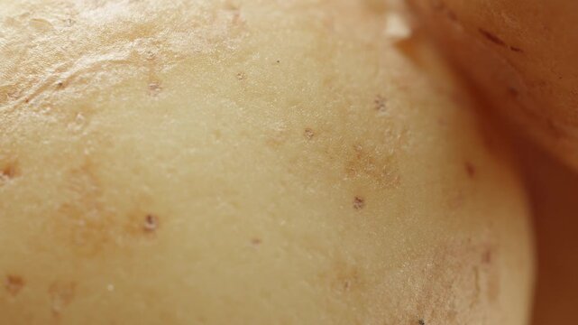 New potato close up rotating camera motion stock footage