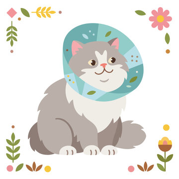 Persian cat with elizabethan collar after surgery. Flat vector illustration of fluffy grey cat wearing protective medical cone. Veterinary recovery and pet care concept isolated on white background