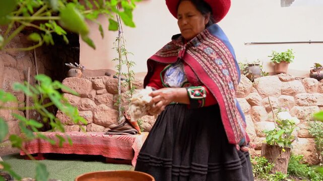 Indigenous quechua woman washing and cleaning raw alpaca wool using traditional methods in peru