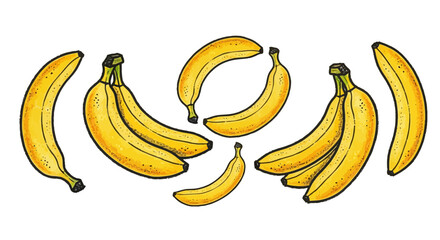 Yellow bananas, banana icons, fruit illustrations, food graphics, vector graphics © charli