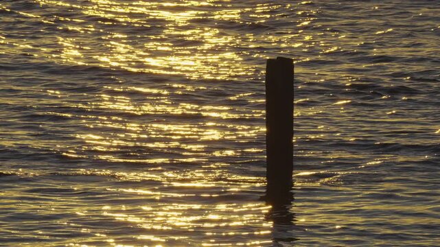 Close-up shot of the North Sea water rippling past a single wooden pier post, shimmering with bright golden sunrise reflections at Whitley Bay.