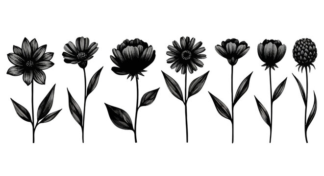 Black floral icons, vector flower silhouettes, 8 blooming flowers, leafy stems, botanical illustrations