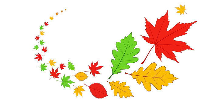 Autumn leaves, colorful fall foliage, vector icons, seasonal graphics, 20 leaf illustrations