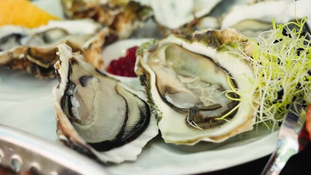Close-up of fresh opened oysters served on a plate and ready to eat. Gourmet seafood delicacy, fresh shellfish and restaurant dining concept. High quality 4k footage