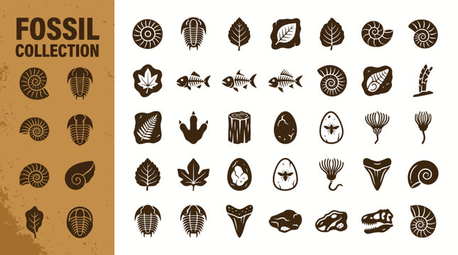 Premium geology vector icon set featuring clean prehistoric fossil designs including ammonites, trilobites, shells, leaves, and dinosaur bones