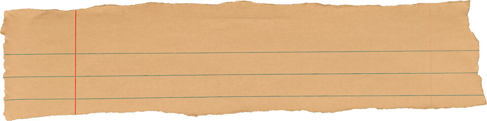Fototapeta premium Torn Kraft Brown Note Paper With Lines