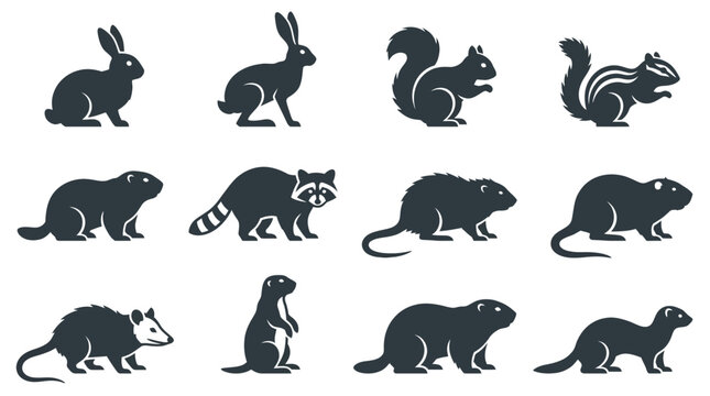  Includes: rabbit, hare, squirrel, chipmunk, marmot, raccoon, muskrat, nutria, opossum, prairie dog, groundhog, ferret