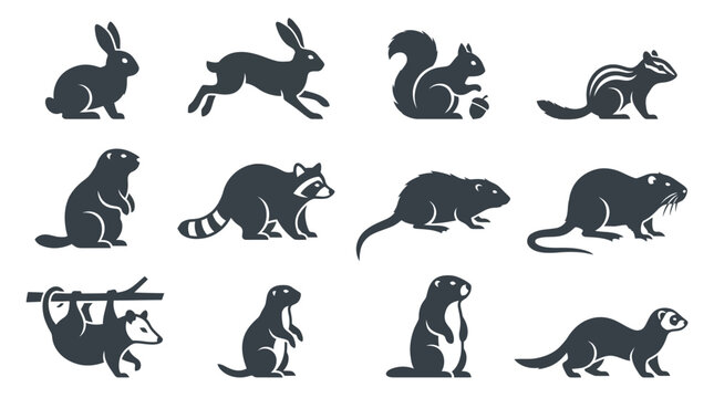  Includes: rabbit, hare, squirrel, chipmunk, marmot, raccoon, muskrat, nutria, opossum, prairie dog, groundhog, ferret