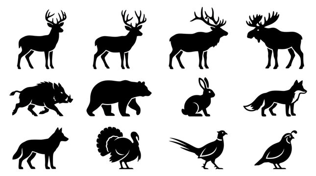  Includes: whitetail deer, mule deer, elk, moose, wild boar, black bear, rabbit, fox, coyote, wild turkey, pheasant, quail.