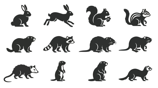  Includes: rabbit, hare, squirrel, chipmunk, marmot, raccoon, muskrat, nutria, opossum, prairie dog, groundhog, ferret