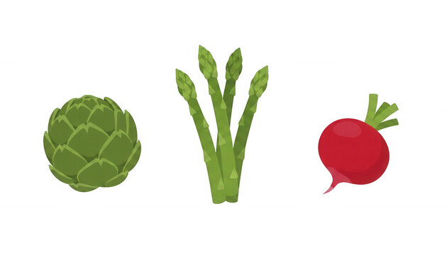 Artichoke Asparagus and Radish Vegetables