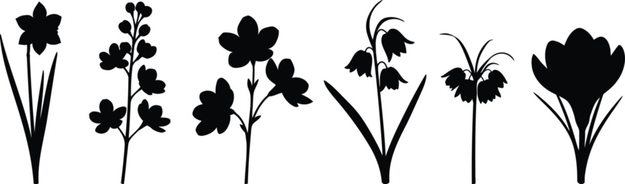 Six Spring Flower Silhouettes