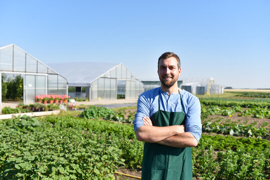 Gardeners working in agriculture - growing and harvesting vegetables in the fields and greenhouses