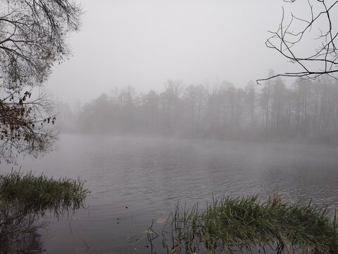 Wide foggy river with green grass on the shore and forest in thick autumn mist