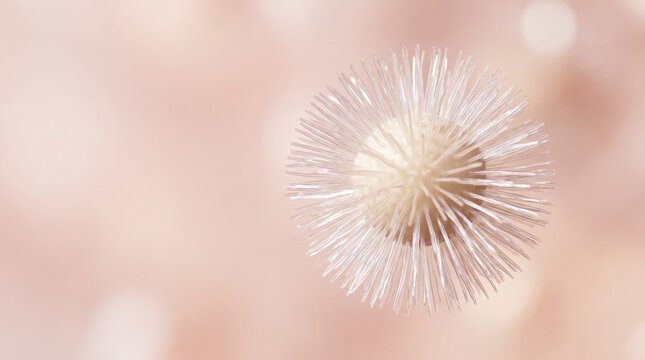 Pearlescent Micelle Macro For Luxury Skincare Ingredient Story