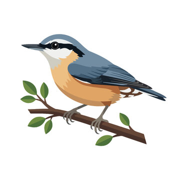 A small nuthatch bird perched on a thin tree branch