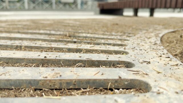 Tiny ants crawl across a dusty metal protective grate. The rusty parallel bars sit over dry soil and organic debris. A wooden park bench blurs in the background.