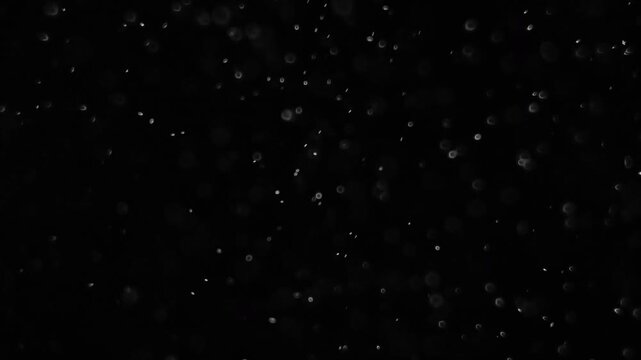Cascading snow particles creating an authentic winter storm overlay transition effect