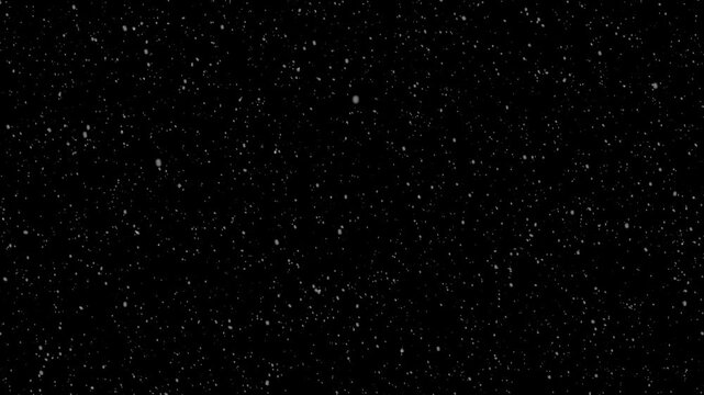 Animated realistic small snowflakes falling densely and slowly through air against on black background. thousands of small snowflakes floating naturally in cold air, 4k video