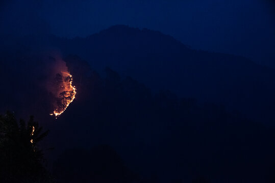 Dramatic forest wildfire burning on mountain slope at dusk with smoke and mist in Mukhteshwar, Uttarakhand, India