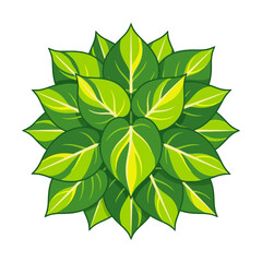 Vibrant green and yellow variegated leaf cluster illustration © susanti