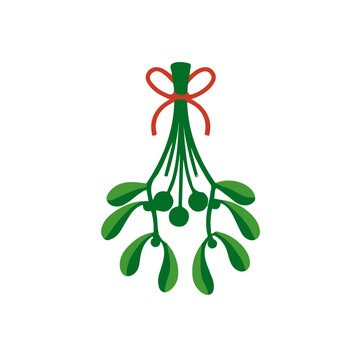 2D flat vector illustration of Mistletoe, clean and minimal icon style, isolated on white background.