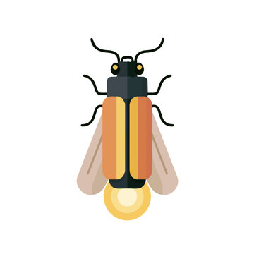 Firefly, 2D flat vector illustration, simple and modern style, isolated on a plain white background.