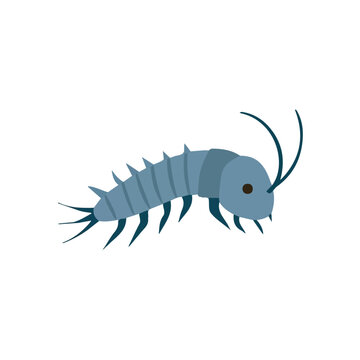Silverfish, 2D flat vector illustration, simple and modern style, isolated on a plain white background.