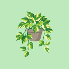 A lush pothos plant cascades from a simple clay pot © tsunade
