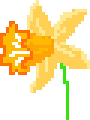 Fototapeta premium Daffodil Side View Pixel Art
