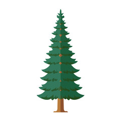 Fototapeta premium Flat 2D vector illustration of Ponderosa Pine Tree, simple icon style on a clean white background.