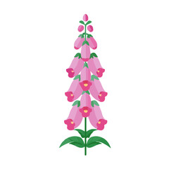 Foxglove Flower illustrated in a clean 2D flat vector style, minimal and modern, isolated on a white background. © Antoni
