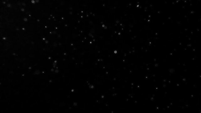 Realistic snow particle overlay creating a natural winter atmosphere