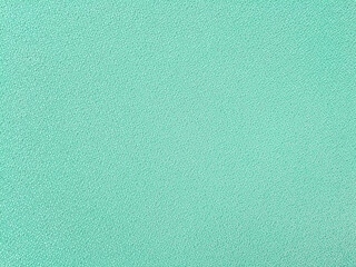 Fototapeta premium Surface Pastel Green Nylon Cloth textured background