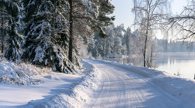 A serene landscape of forest and lake, framed by snowy winter roads
