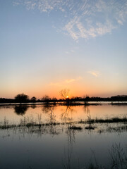 Fototapeta premium Serene sunset over flooded landscape with reflections of trees and sky