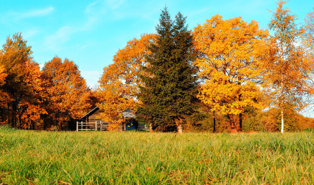 Autumn landscape -small wooden hus among forest trees in sunny weather, concept of spending autumn in countryside