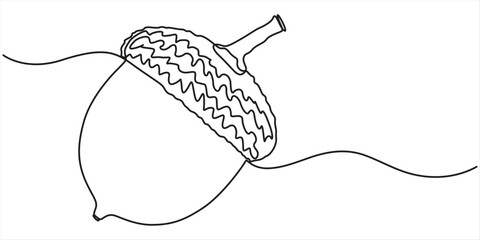 Continuous one line drawing of acorn. Single line illustration of acorn seed. Autumn, forest concept. Editable outline.  © SREEPOLOK