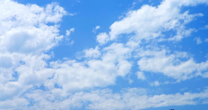 A Canvas of Clouds: A vast expanse of the bright blue sky is dotted with fluffy white cumulus clouds, a timeless symbol of nature's beauty and a reminder of the open expanse above.