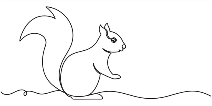 Squirrel continuous one line drawing, single line art element, minimalist sketch line vector illustration. 