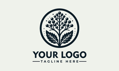 Organic botanical berry plant circle vector logo illustration © nuaari